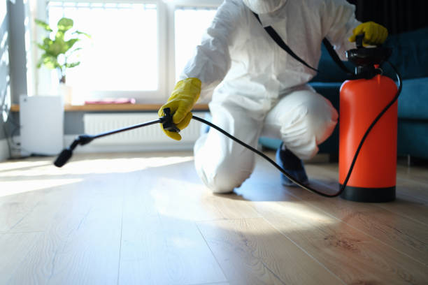 Reliable Hoarding Cleanup contractor in Salem, MO by Dulley Family Biohazard Services